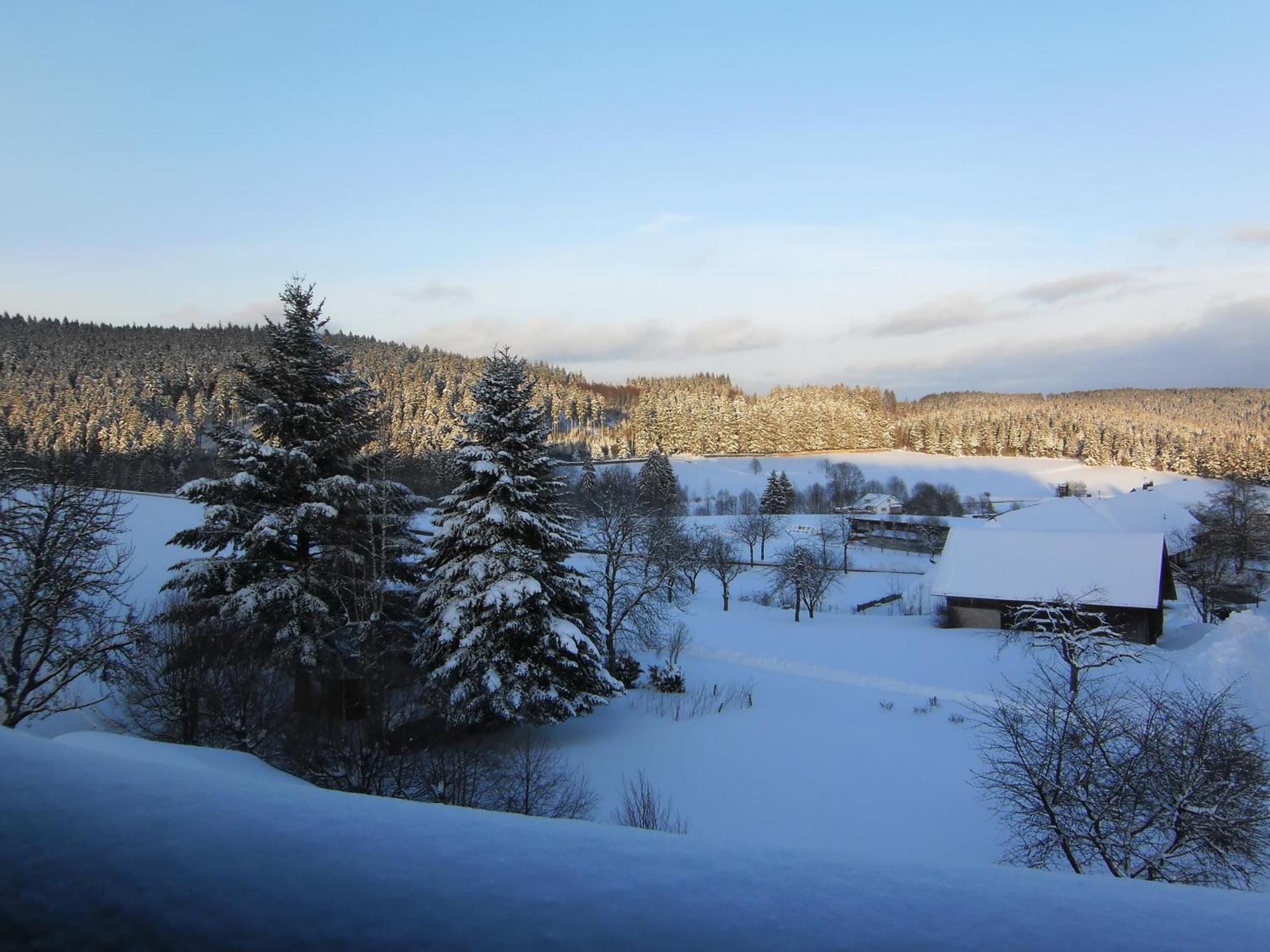 Hotel Bartlehof Schluchsee Buitenkant foto