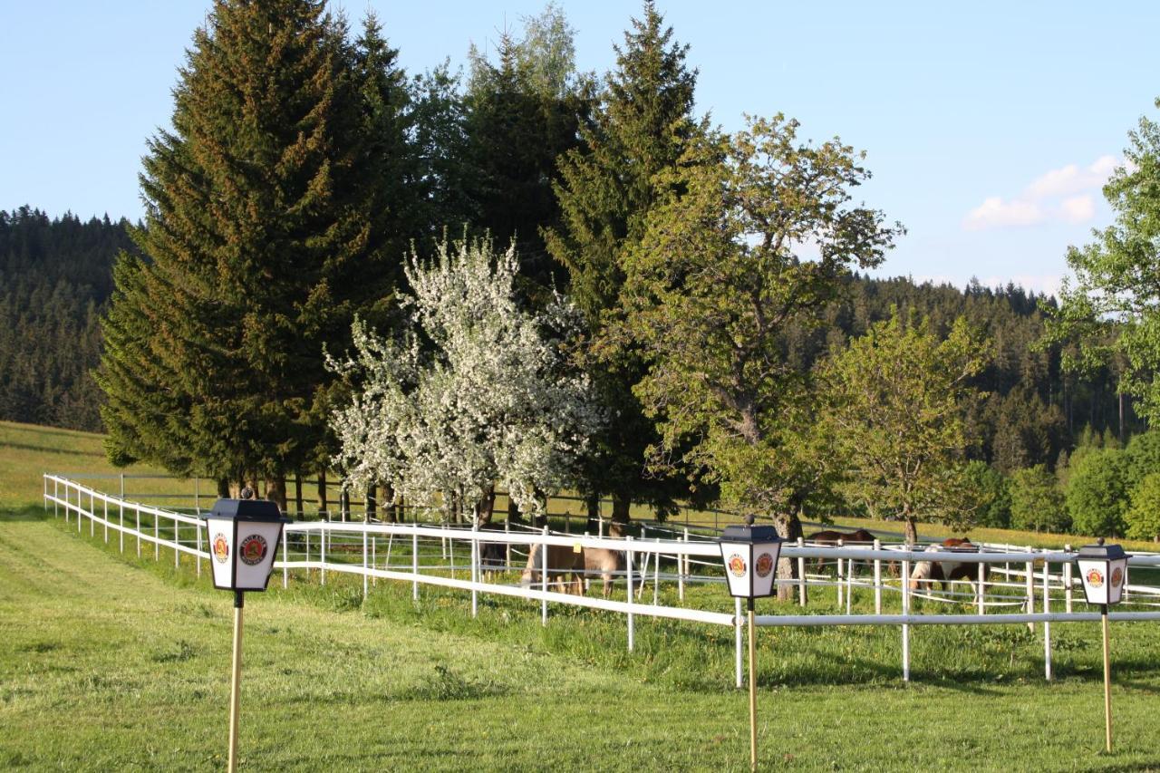 Hotel Bartlehof Schluchsee Kamer foto